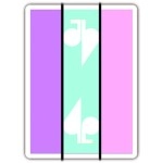 Spielkarten Jaspas Deck Favourite Day Edition 2