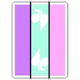 Spielkarten Jaspas Deck Favourite Day Edition 2