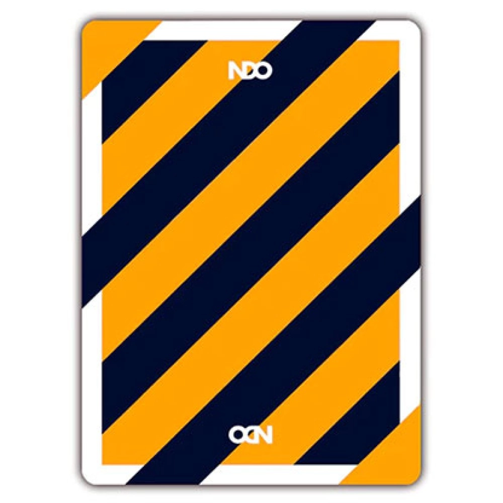 Spielkarten Broken Borders 2020 Playing Cards by The New Deck Order