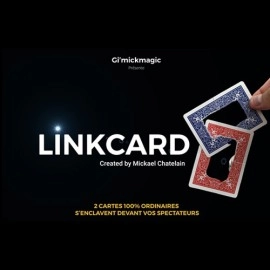 LinkCard (Gimmicks and Online Insruction) by Mickaël Chatelain