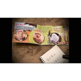 Mentalist's Animal Photo book - WILDLIFE WIZARD by Tenyo Magic