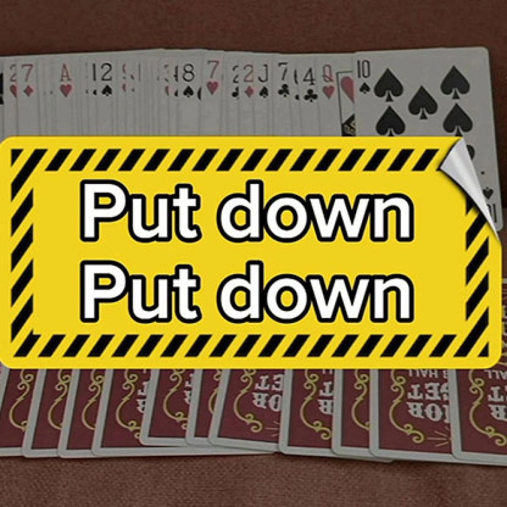 Put down - Put down by Shark Tin and JJ team video DOWNLOAD