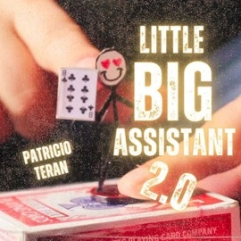 The Vault - Little Big Assistant 2 by Patricio Teran video DOWNLOAD