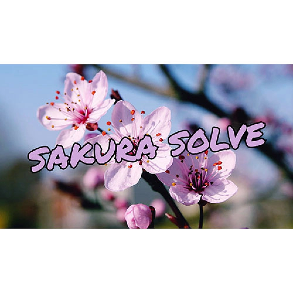SAKURA SOLVE by Cyril Hubert and JJ Team video DOWNLOAD