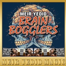 Brain Bogglers by Meir Yedid