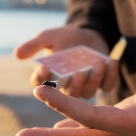 The FLY LITE by Marcos Waldemar & Invisible Compass