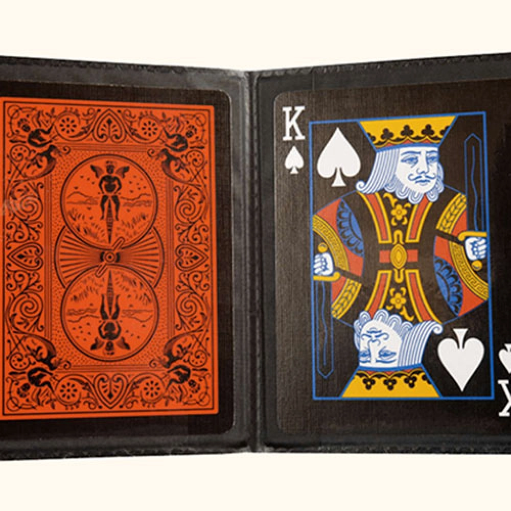Card Holder Deluxe (2 transparent pockets)