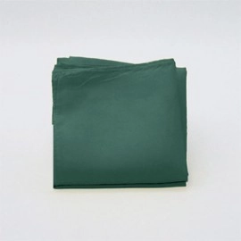 Silk 12 inch Single (Dark Green) Magic by Gosh