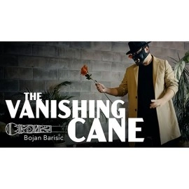 Vanishing Cane (Stage) by Bojan Barisic and Stage Elegance