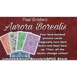 Aurora Borealis by Paul Gordon