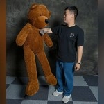 Teddy Bear Appearance (Medium) by MS Magic
