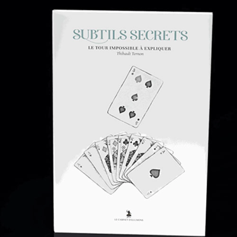Subtle Secrets 2 by Thibault Ternon