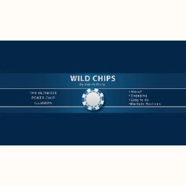 Wild Chips by Joel Anthony