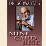 Mini Card Rise by Martin Schwartz