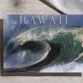 Zandman's Hawaii