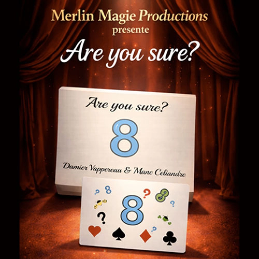 Are You Sure? by Damien Vappereau and Marc Céliandre