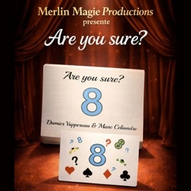 Are You Sure? by Damien Vappereau and Marc Céliandre