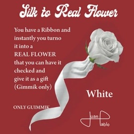 Silk to Real Flower (White) by Juan Pablo