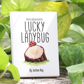 Lucky Ladybug (Leaf) by Joshua Ray & Deuce Gala Magic