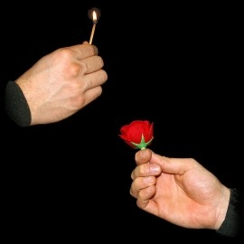 Match to Rose