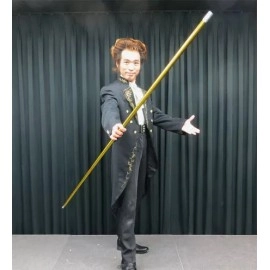 Appearing Long Cane - Gold - Metal (1.4m - 1.5m)