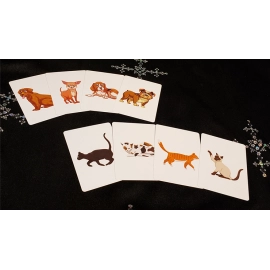Animal Card by Tejinaya Magic