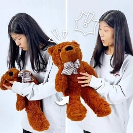 Appearing Teddy Bear - Small size