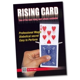 Bicycle Rising Cards