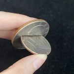 Coin through Coin - Morgan Dollar