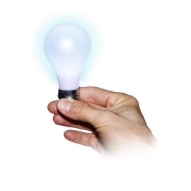 Miracle Light Bulb 