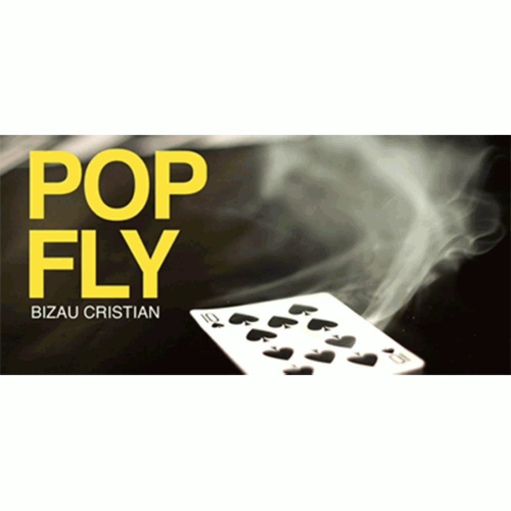 Pop Fly by Bizau Cristian video DOWNLOAD