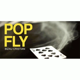 Pop Fly by Bizau Cristian video DOWNLOAD