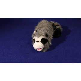 Roxie The Raccoon (Spring Animal)
