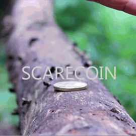 Scare Coin by Arnel Renegado - Video DOWNLOAD