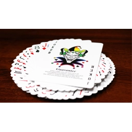 Spielkarten Spectrum Tally Ho Deck by US Playing Card Co.