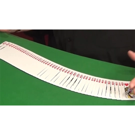 The Deck That Shuffles Itself (Gimmick and Online Instructions) by Dominique Duvivier
