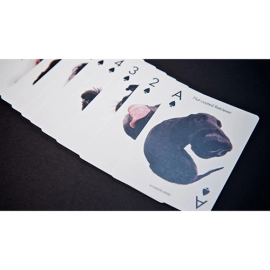 Spielkarten Cards Dogs Playing Cards by USPCC