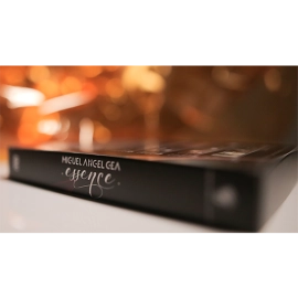 Essence by Miguel Angel Gea and Luis De Matos - 4 DVD Set