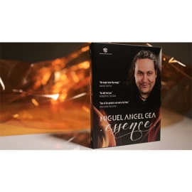 Essence by Miguel Angel Gea and Luis De Matos - 4 DVD Set