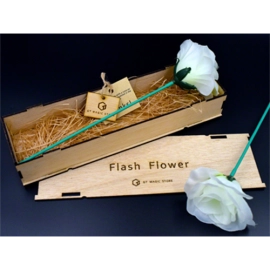White Flash Flower (2pk.) - by GD Wu & GT magicstore