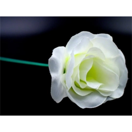 White Flash Flower (2pk.) - by GD Wu & GT magicstore