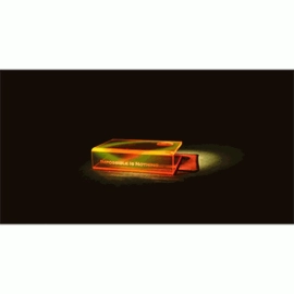 IINCC Card Clips (UV Peach Orange) by Magic Encarta
