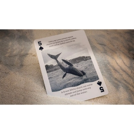 Spielkarten Bicycle - Sharks