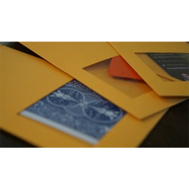 DP SWITCHING ENVELOPE by Paul Romhany