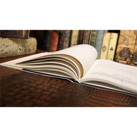 Scalbert's Selected Secrets (Limited/Out of Print) by Geoffrey Scalbert - Book