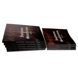 Andreu's Intimum Sacrarium (Softcover) by Andreu - Book