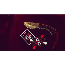 Spielkarten Cardistry Ninjas Playing Cards by World Card Experts