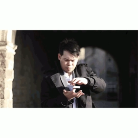 Parallels by Think - DVD