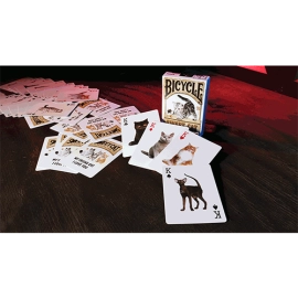 Spielkarten Bicycle - Sweet Cat Playing Cards