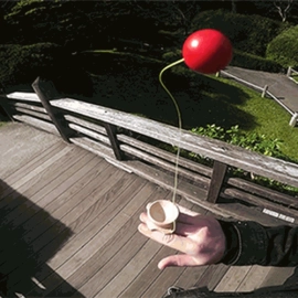RingDama by Juggling Genius Toys